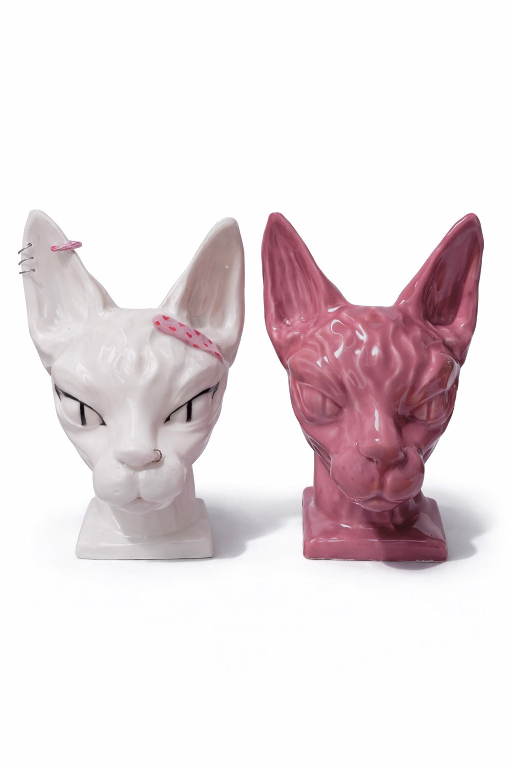 Testa Sphynx